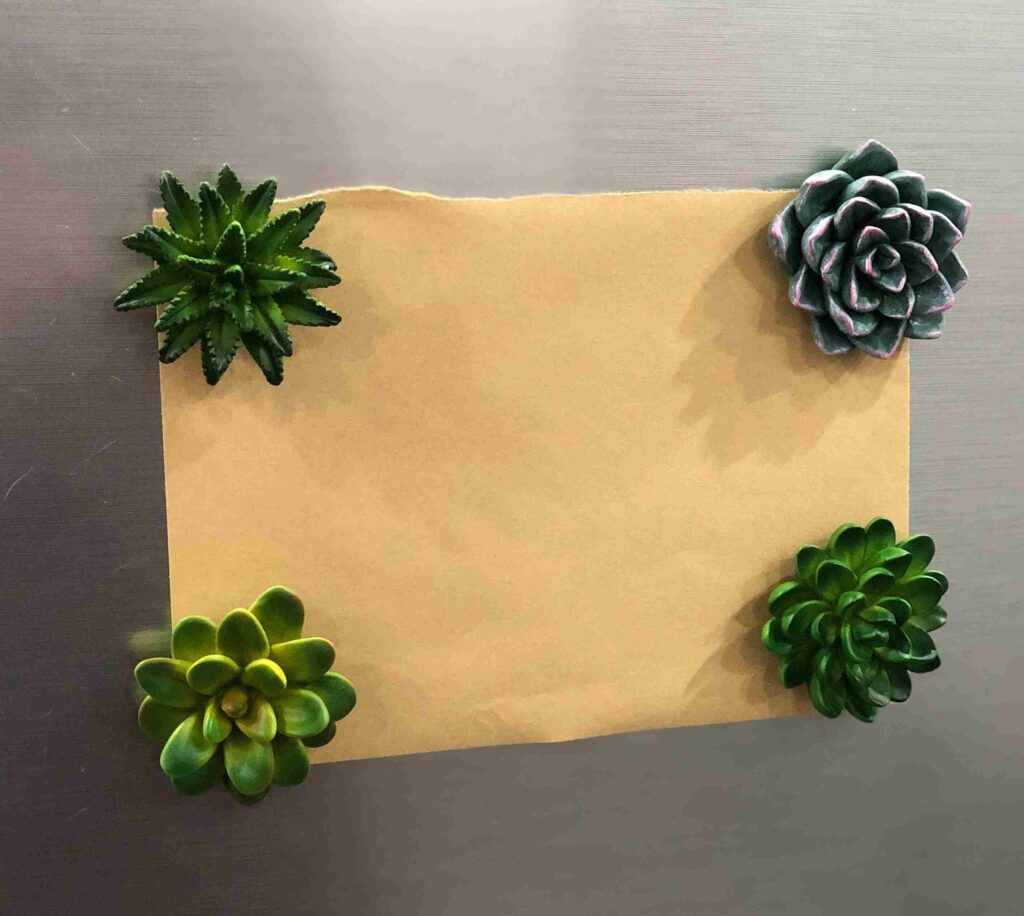 img 0583(1) img 0583(1)